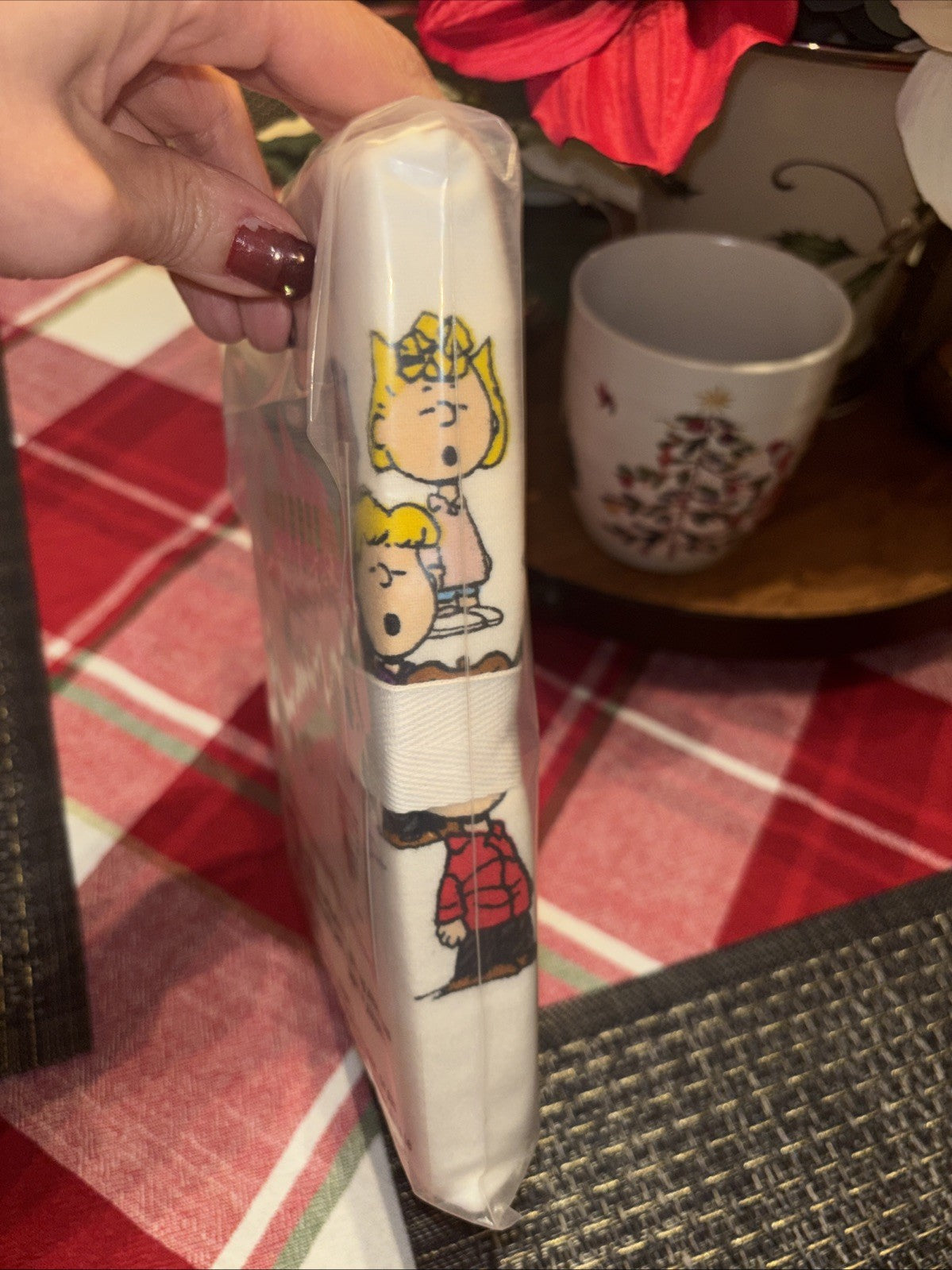 Snoopy Pottery Barn Disney pillow sham Peanuts Holiday school gift party star \.