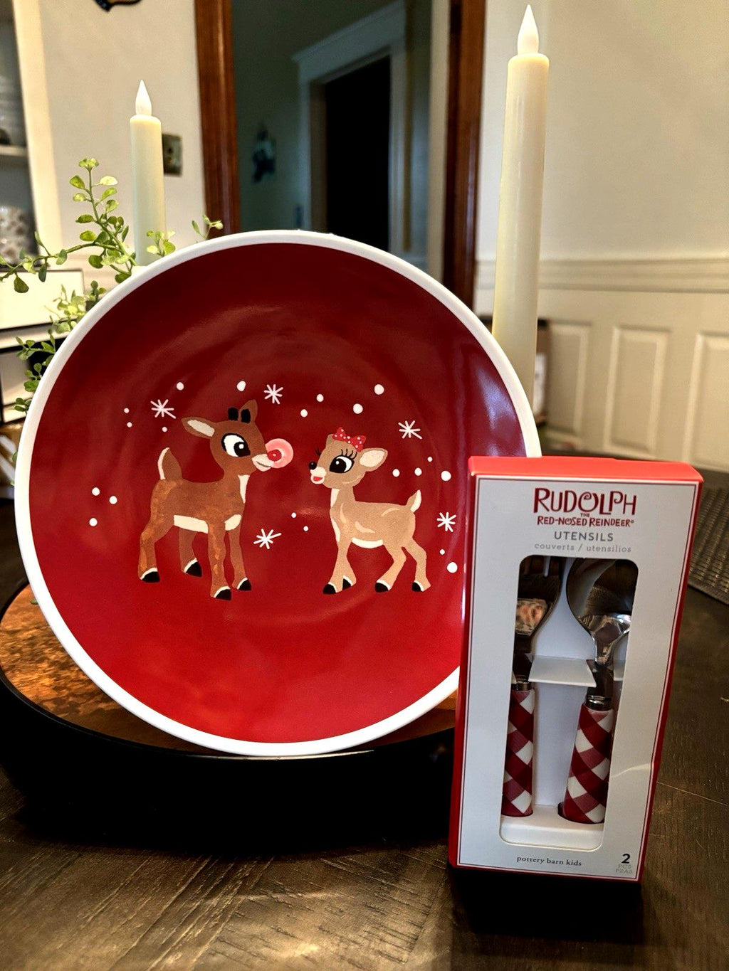 Pottery Barn Rudolph holiday Santa Christmas dinner PLATE UTENSIL party SET KID