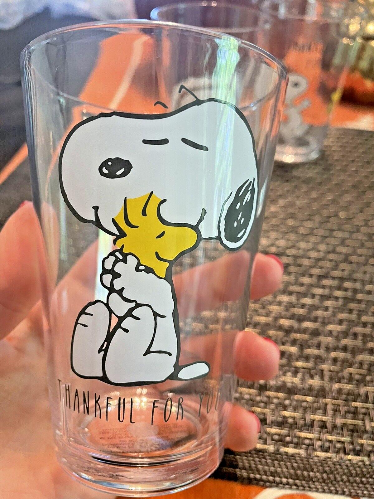 Pottery barn Snoopy school THANKSGIVING peanuts Holiday Birthday SET 2 cup kid