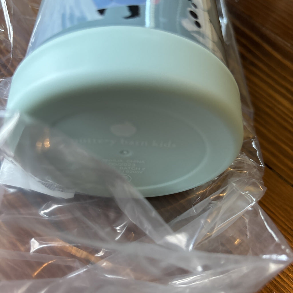 Disney School Pottery barn Frozen Elsa Water Bottle holiday Olaf Travel gift 1