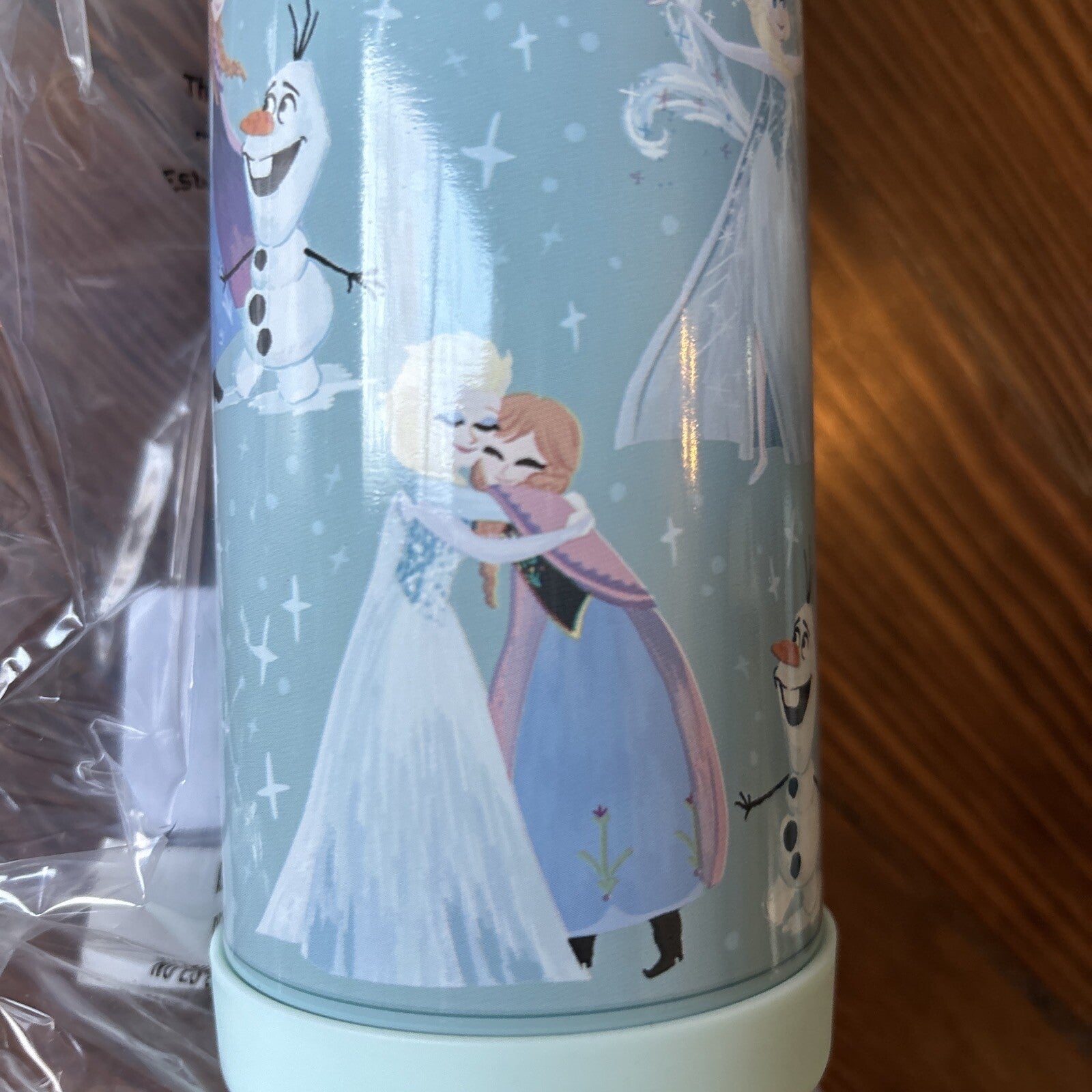 Disney School Pottery barn Frozen Elsa Water Bottle holiday Olaf Travel gift 1