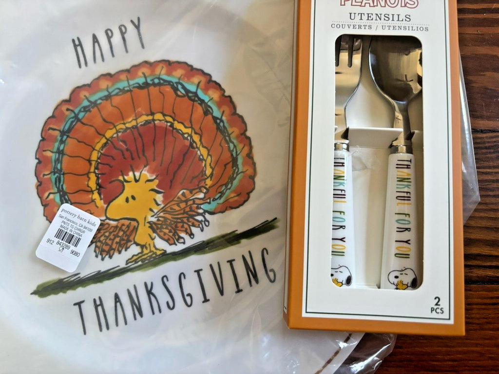 Pottery Barn snoopy peanuts holiday Dinner party Disney kid Set Christmas gift