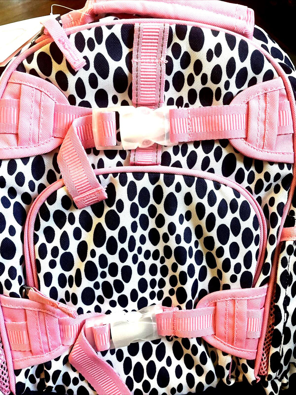 school Pottery barn Backpack princess rainbow animal cheetah dot travel bag ?? .