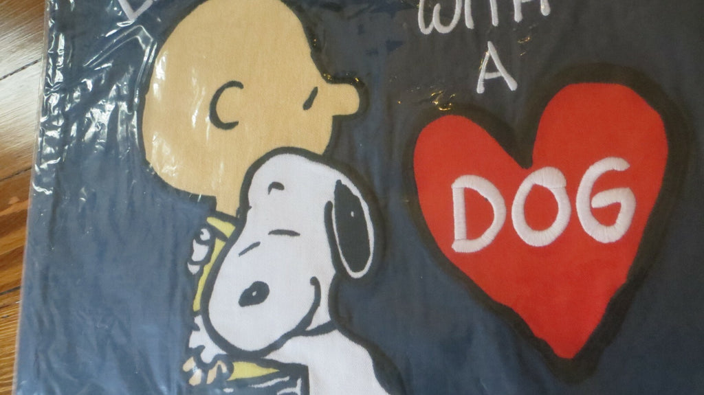 Pottery barn Snoopy school pillow Sham Holiday Gift party Disney kid dog heart a