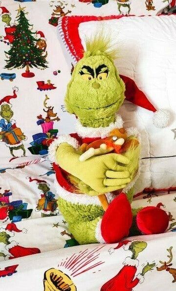 Disney Pottery Barn Grinch Christmas animal toy Disney holiday gift boy '