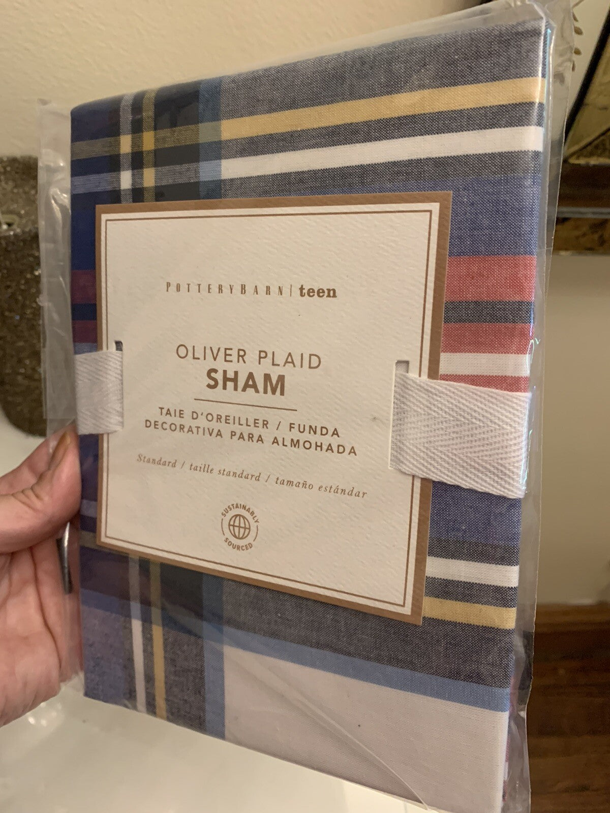 Pottery Barn Plaid Pillow Sham holiday Christmas sport party school Disney kid [
