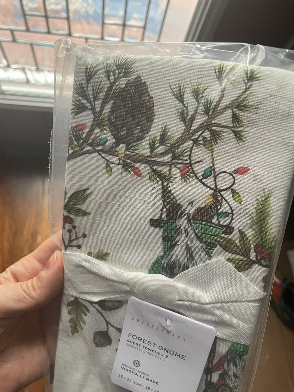 pottery barn Disney towel Holiday Winter Christmas Gnome Elf gift party guest -