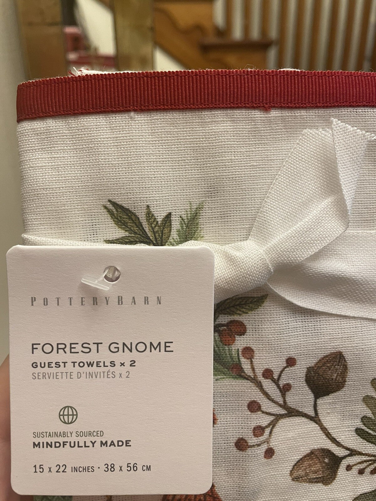 pottery barn Disney towel Holiday Winter Christmas Gnome Elf gift party guest -