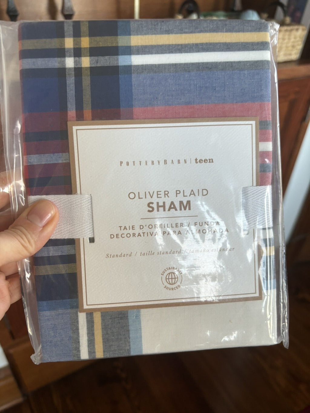 Pottery Barn Plaid Pillow Sham holiday Christmas sport party school Disney kid [