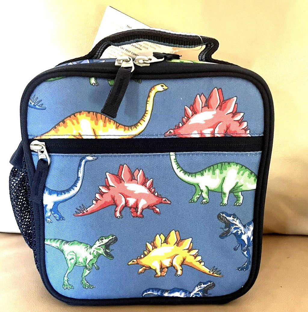 Pottery barn Disney School Lunch Dinosaur travel holiday gift boy Set sticker 1