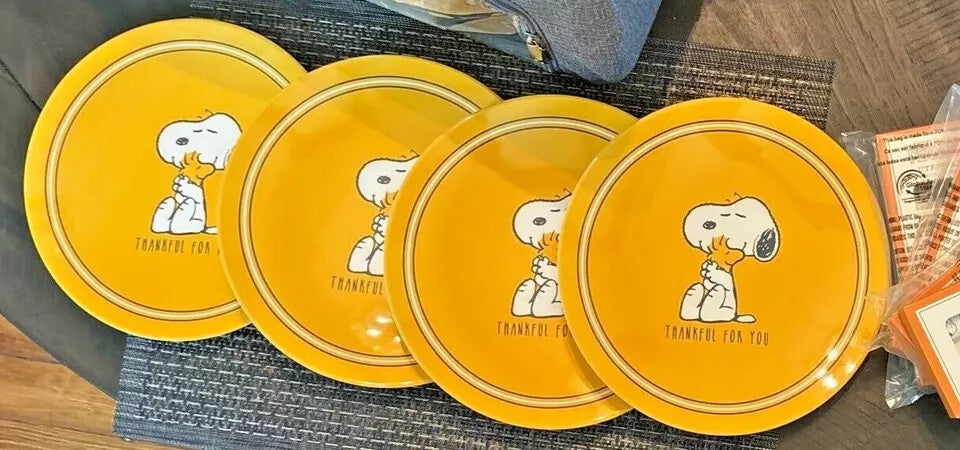 Pottery Barn Snoopy peanuts Dinner Set Plate holiday school party Disney gift