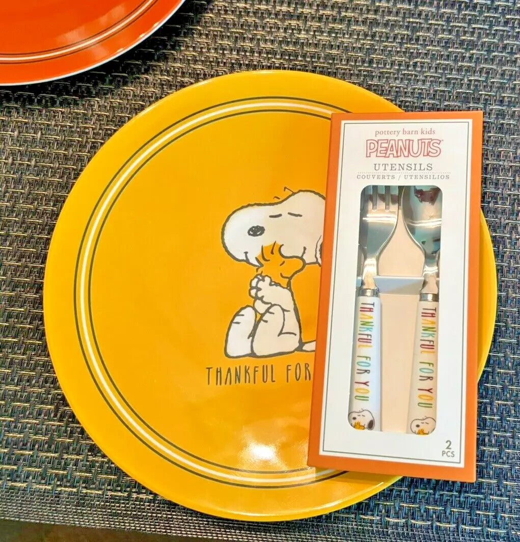 Pottery Barn Snoopy peanuts Dinner Set Plate holiday school party Disney gift
