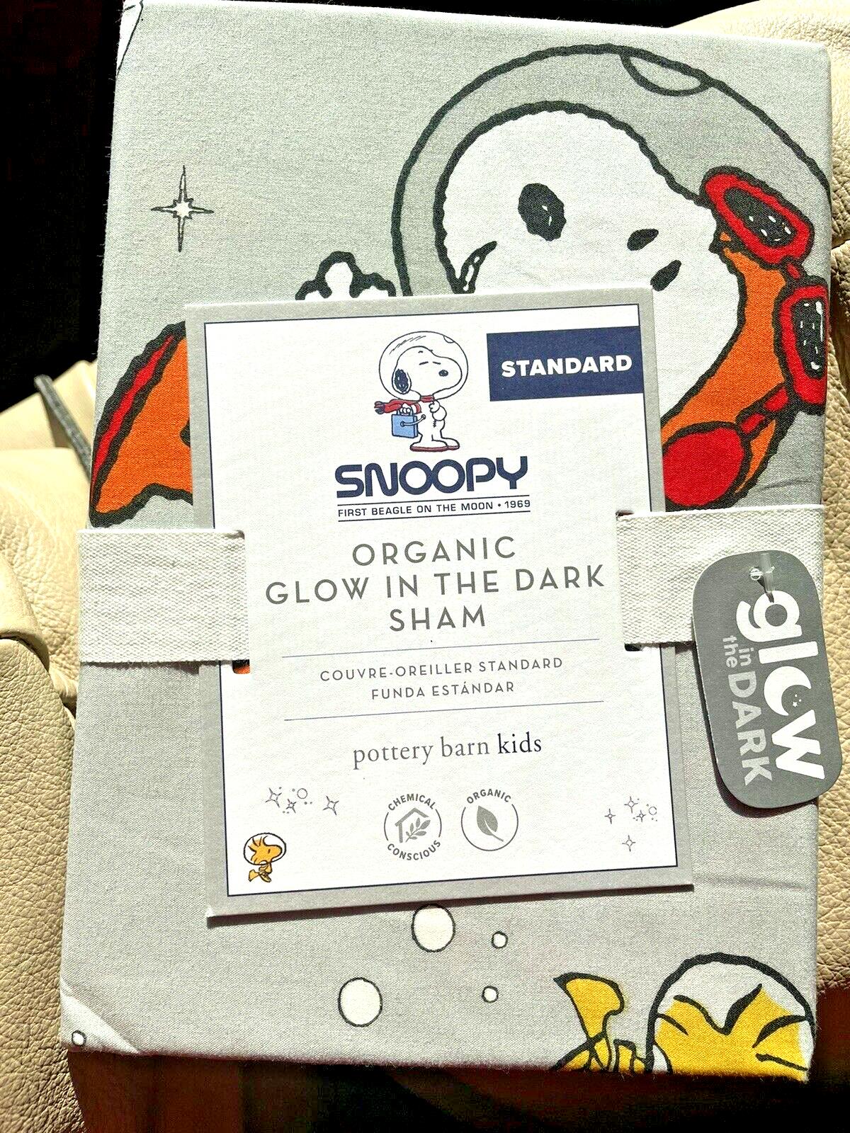 Snoopy Pottery Barn PEANUTs PILLOW SHAM Disney space Dog Gift star kid