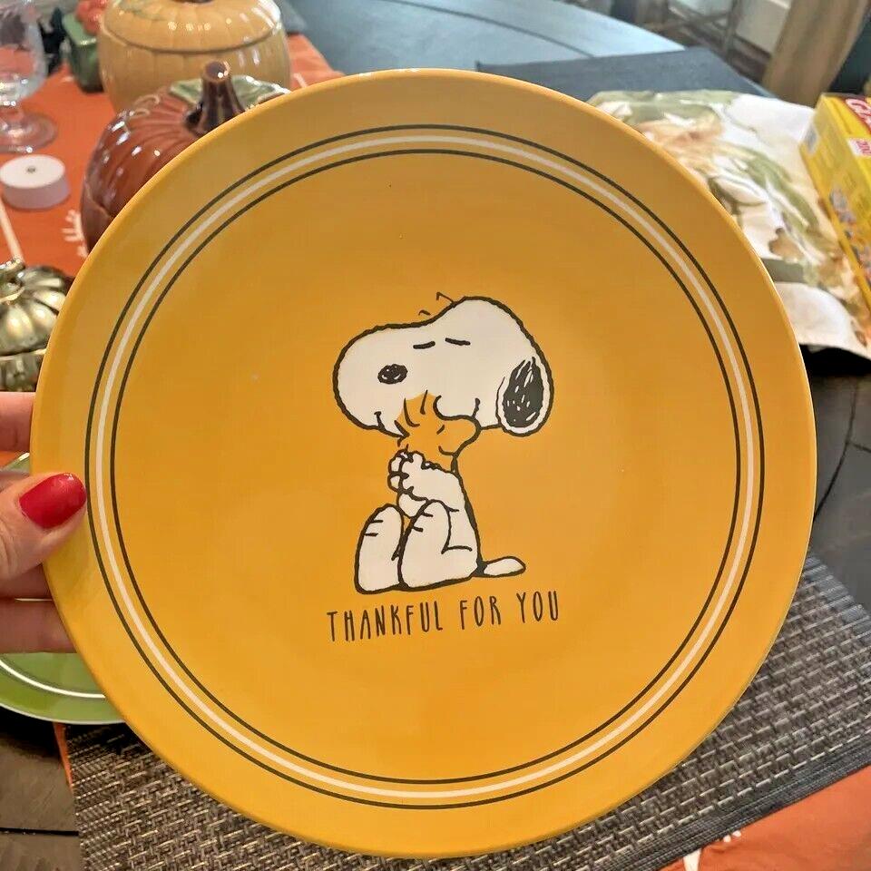 Pottery Barn Snoopy peanuts Dinner Set Plate holiday school party Disney gift