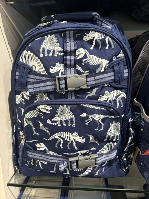 Disney School boy Pottery barn Dinosaur BACKPACK travel + Lunch Box Jurassic .