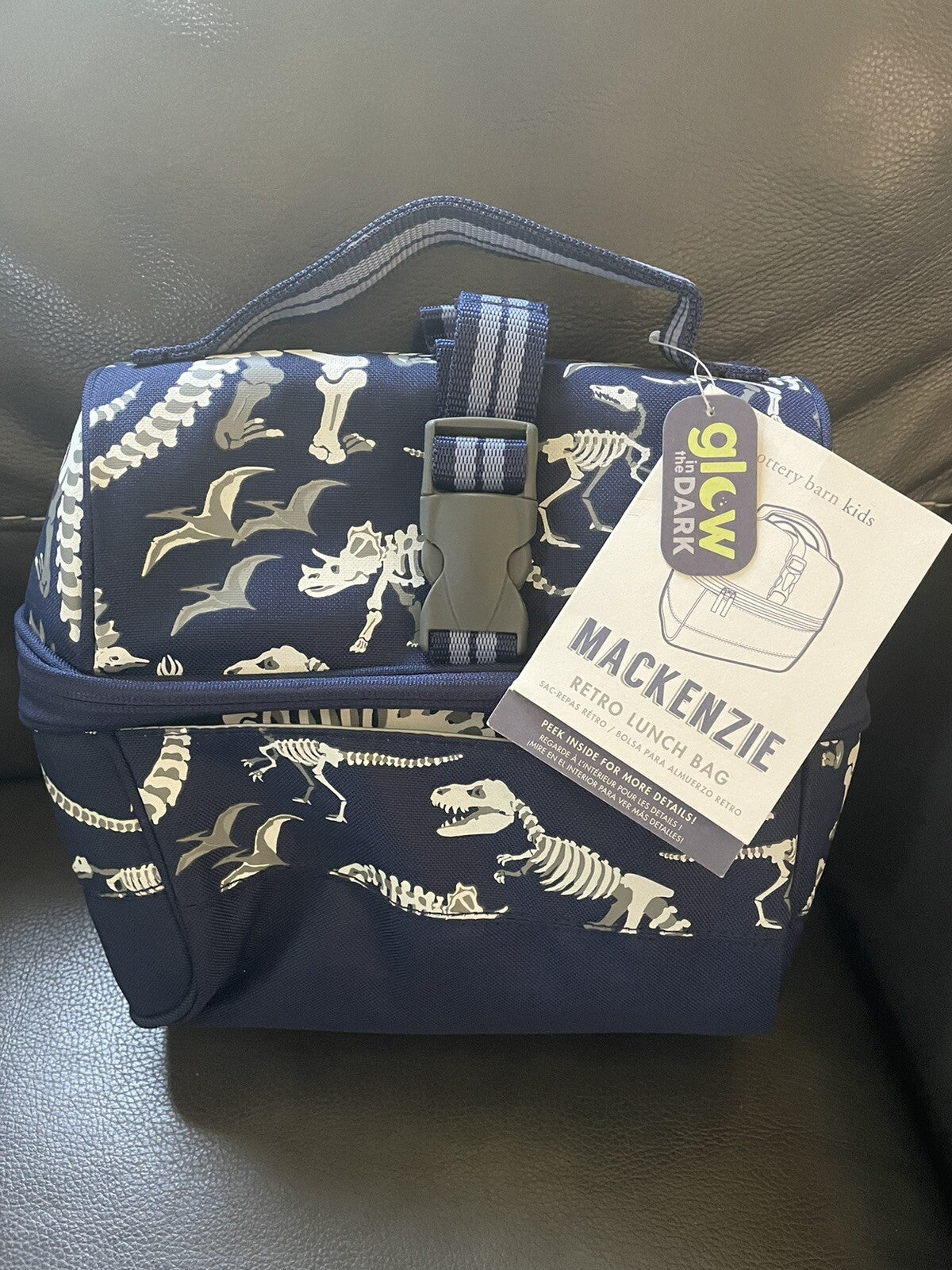 Disney School boy Pottery barn Dinosaur BACKPACK travel + Lunch Box Jurassic .