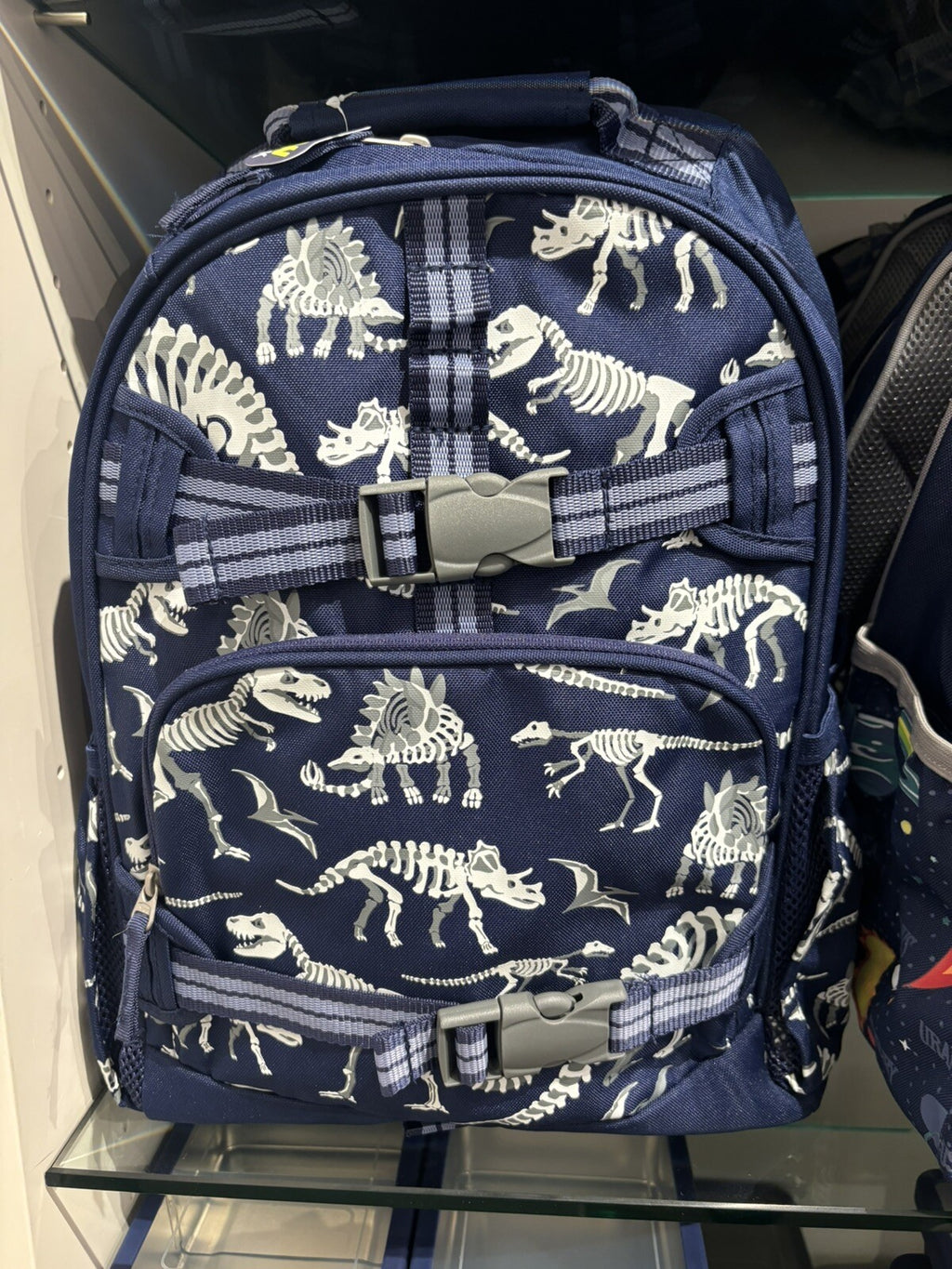 Disney School boy Pottery barn Dinosaur BACKPACK travel + Lunch Box Jurassic .