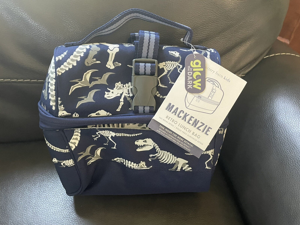 Disney School boy Pottery barn Dinosaur BACKPACK travel + Lunch Box Jurassic .