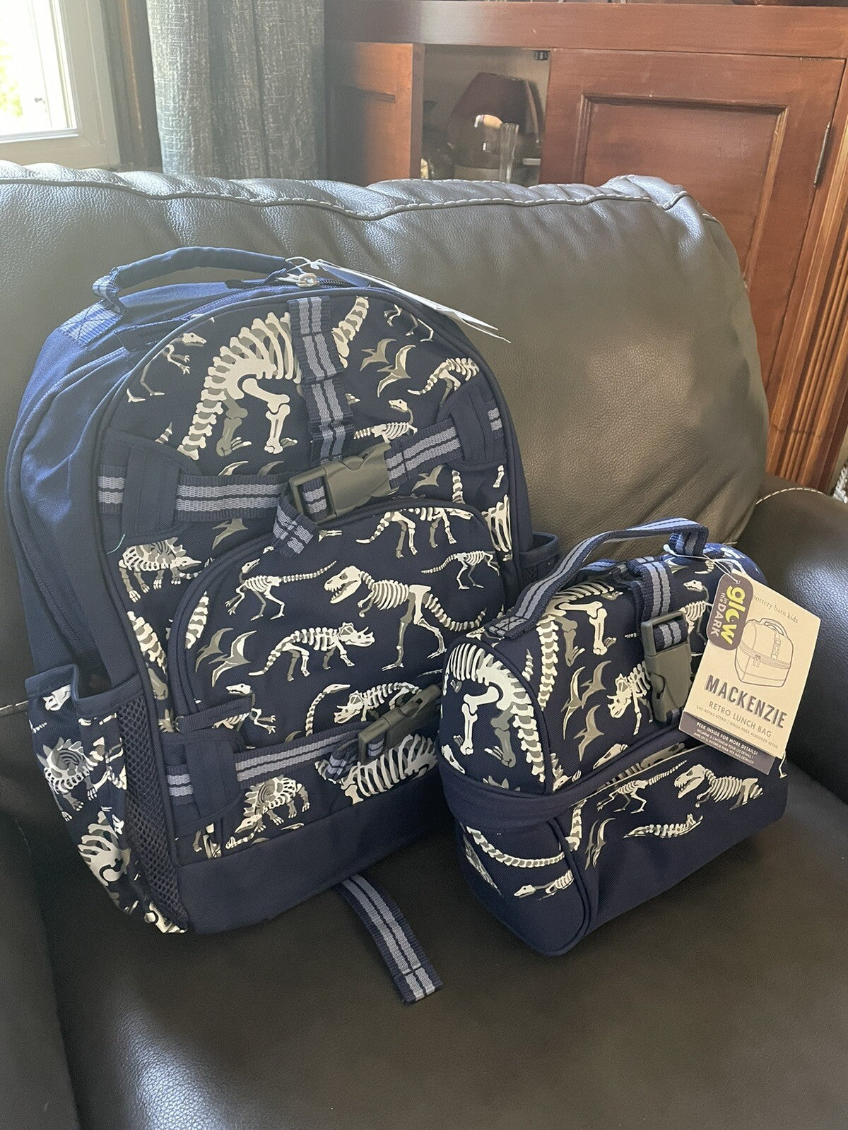 Disney School boy Pottery barn Dinosaur BACKPACK travel + Lunch Box Jurassic .
