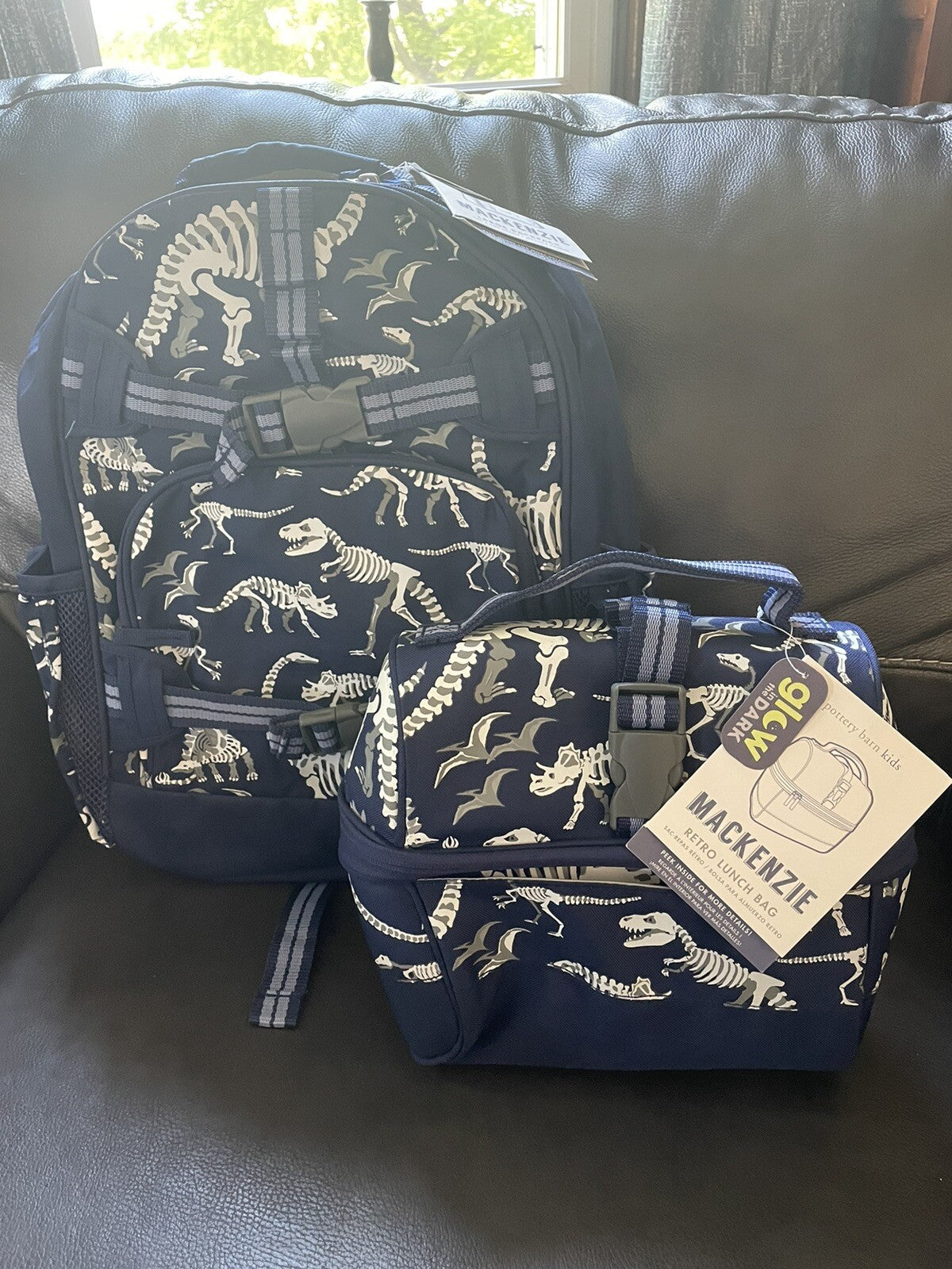 Disney School boy Pottery barn Dinosaur BACKPACK travel + Lunch Box Jurassic .
