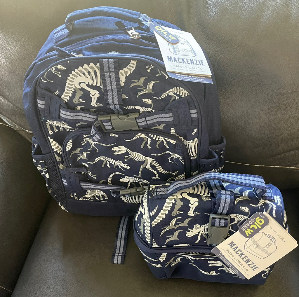 Disney School boy Pottery barn Dinosaur BACKPACK travel + Lunch Box Jurassic .
