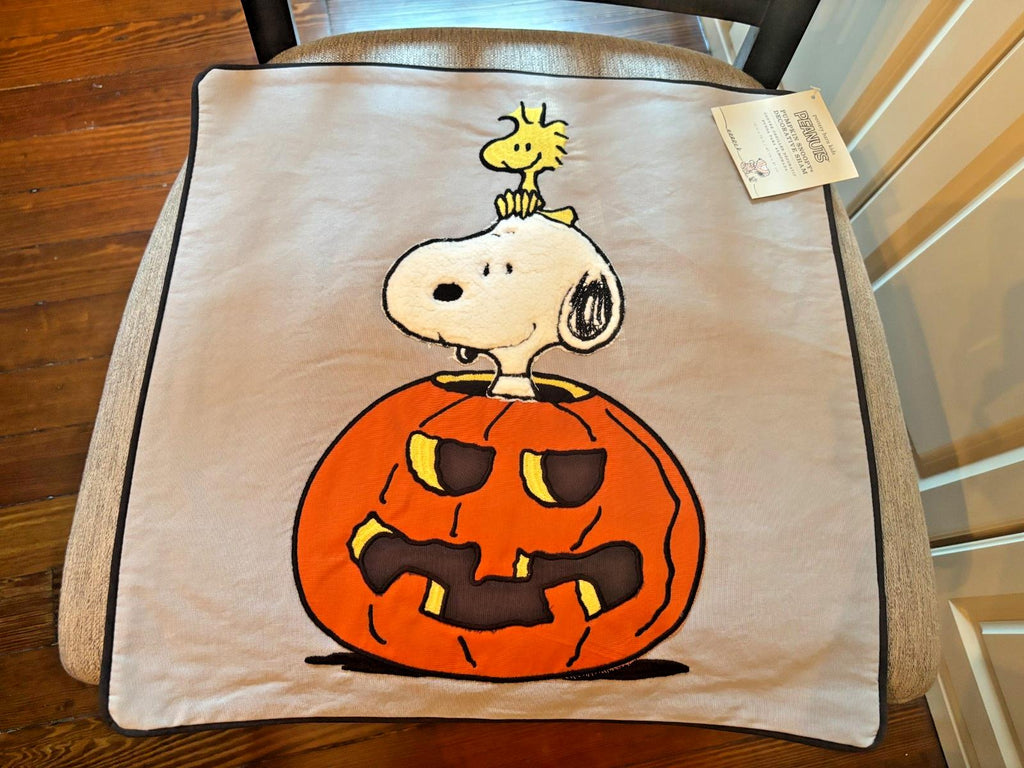 Snoopy Pottery Barn Peanuts Holiday pillow Sham halloween Disney School kids  a