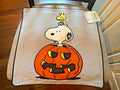 Snoopy Pottery Barn Peanuts Holiday pillow Sham halloween Disney School kids  a