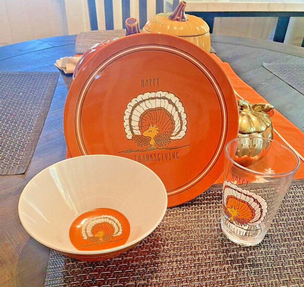 Pottery Barn holiday Thanksgiving Snoopy Peanuts school Dinner Set Disney kid \