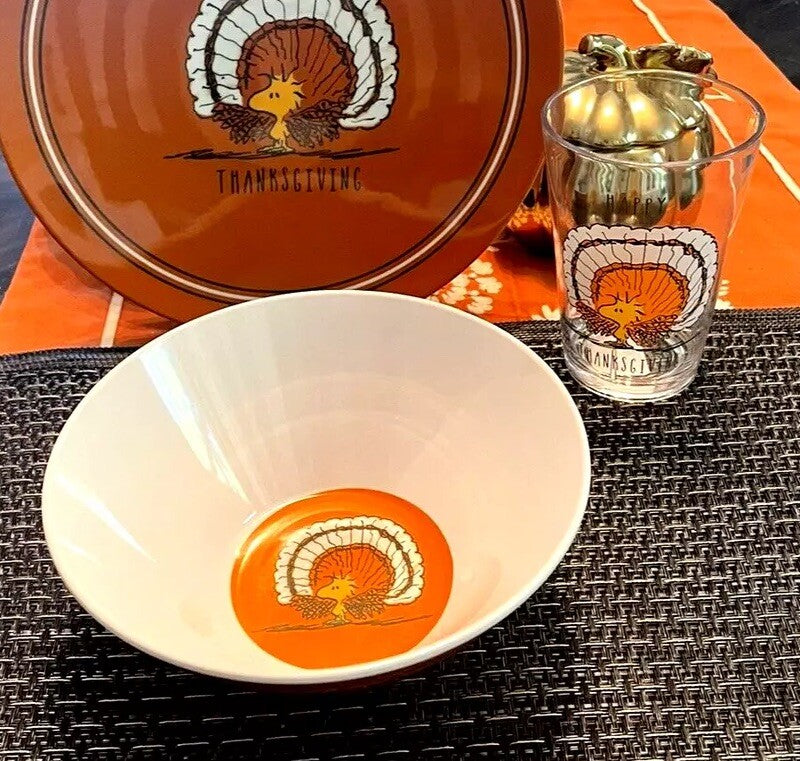 Disney Snoopy Pottery Barn peanuts Bowl + CUP holiday party Thanksgiving SET 8 \