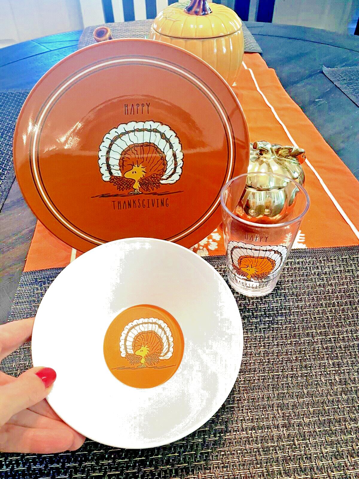 Pottery Barn holiday Thanksgiving Snoopy Peanuts school Dinner Set Disney kid \