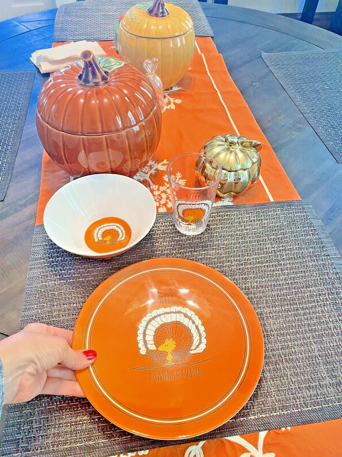 Pottery Barn holiday Thanksgiving Snoopy Peanuts school Dinner Set Disney kid \