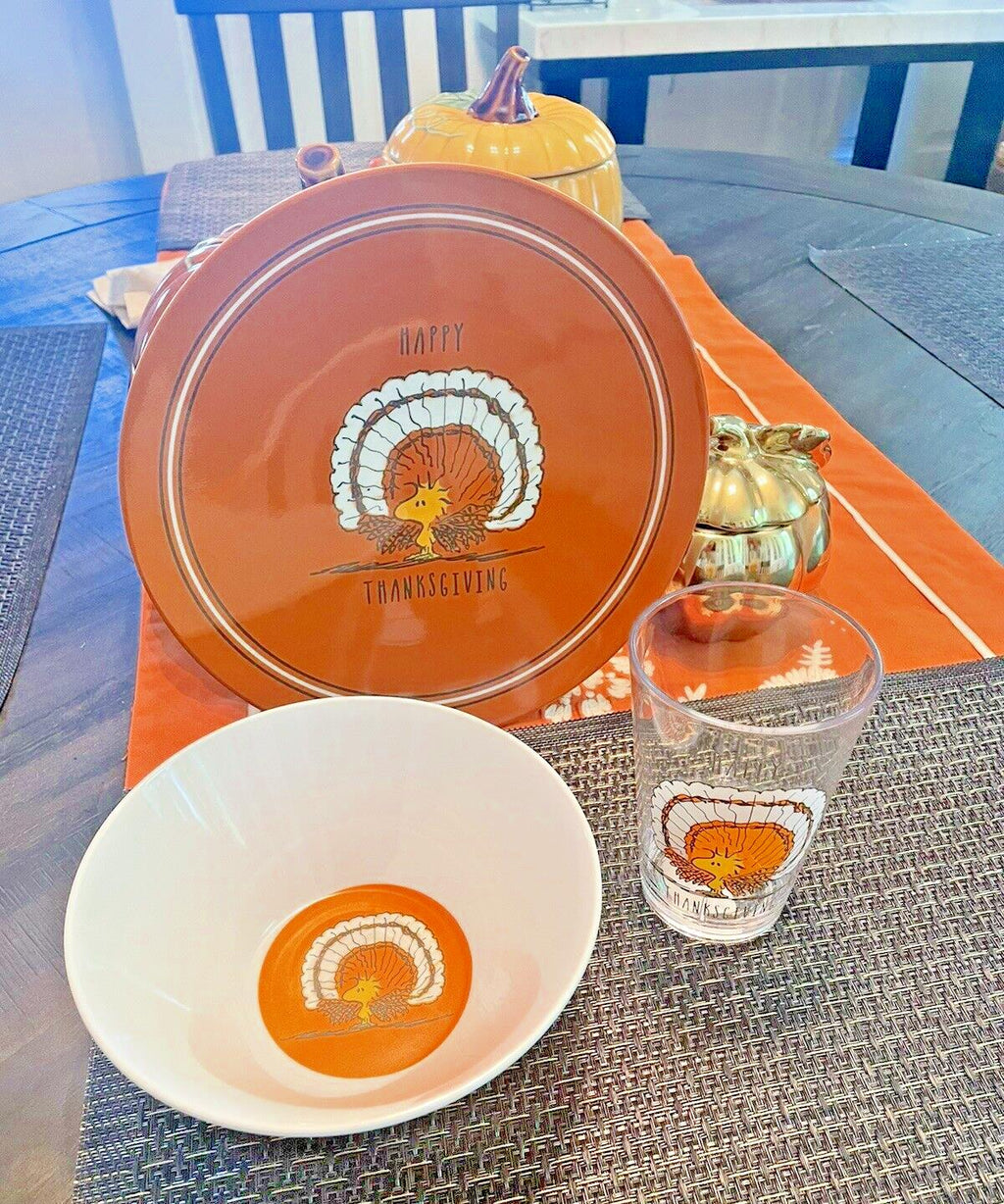 Pottery Barn holiday Thanksgiving Snoopy Peanuts school Dinner Set Disney kid \