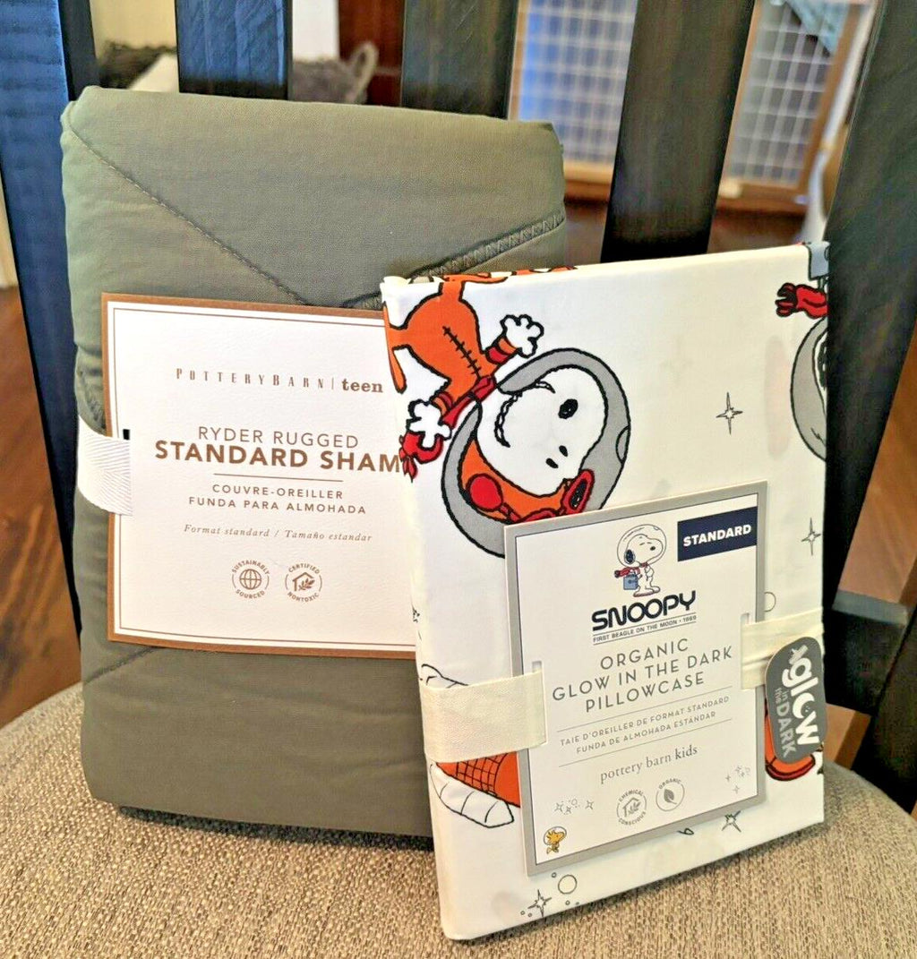 Pottery Barn snoopy PILLOWCASE +SHAM holiday Peanut Disney Space Gift?SET 2 ]