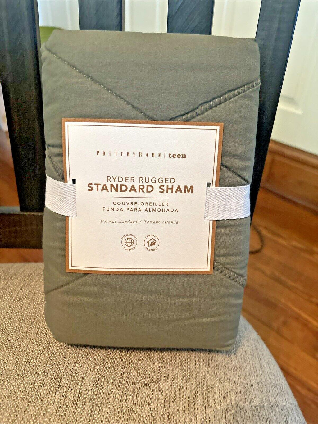 Pottery Barn snoopy PILLOWCASE +SHAM holiday Peanut Disney Space Gift?SET 2 ]