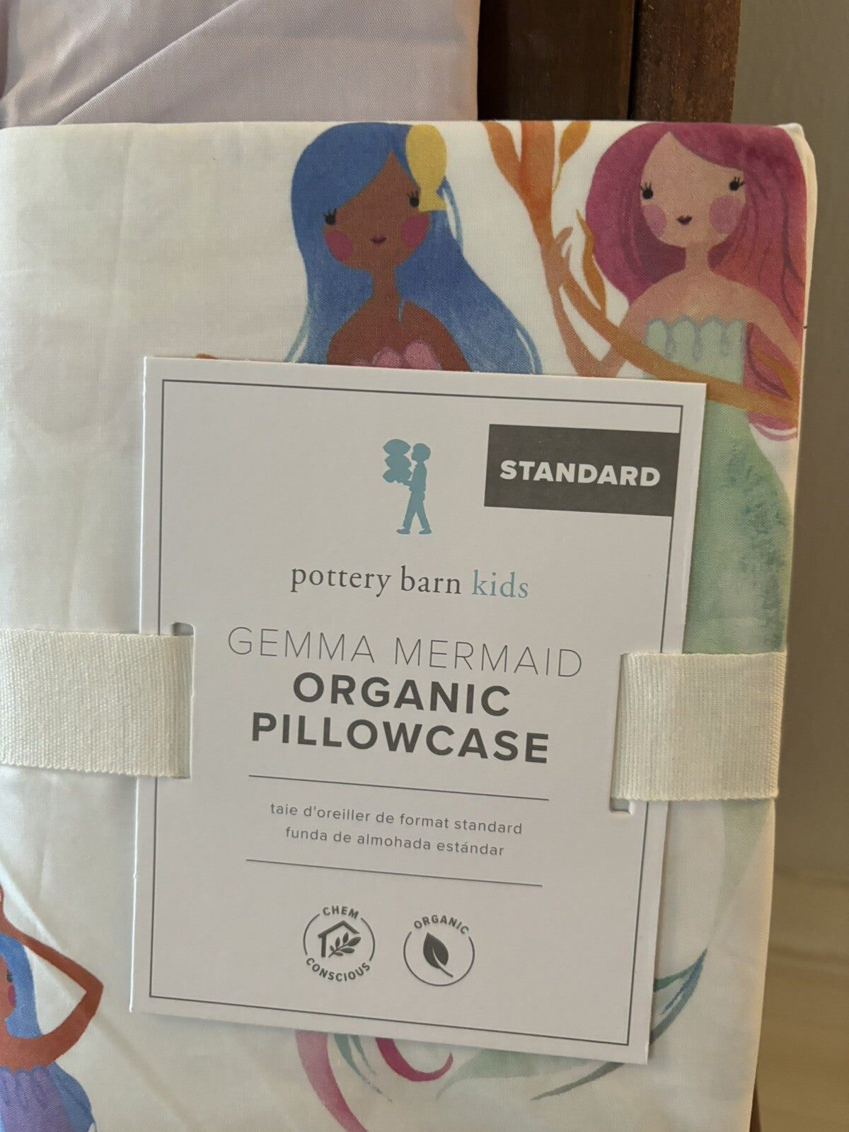 Pottery Barn holiday floral Disney princess Mermaid Ariel Birthday Gift SET 2 \