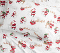 Pottery Barn holiday Heritage Christmas Rudolph Disney kid Santa Pillowcase n