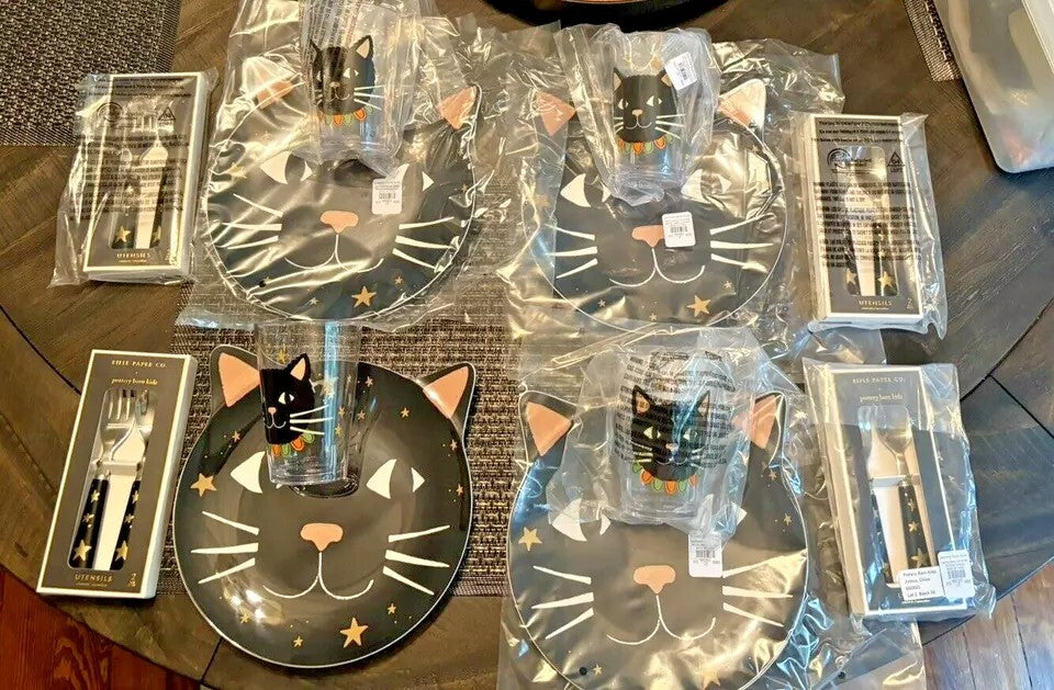 Pottery Barn Disney Halloween Holiday party black cat Dinner kids party SET 12 n