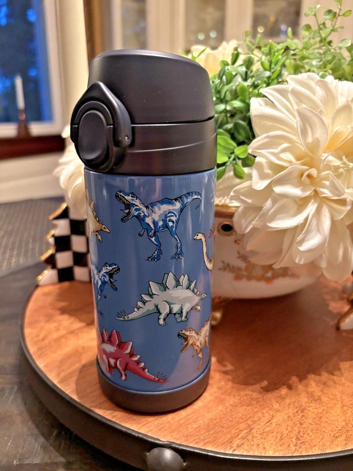 Pottery barn school Disney Dinosaur Water Bottle ?? gift boy Pre K Dino Set Gift