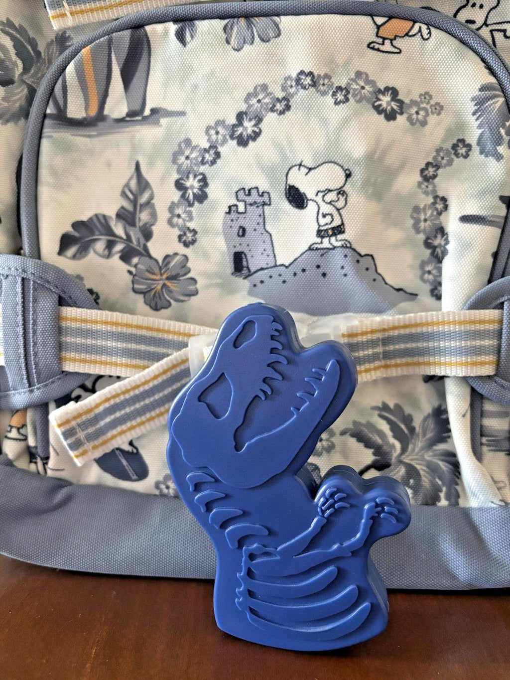 School Pottery barn SNOOPY BACKPACK + Dinosaur BAG Peanuts Jurassic travel Boy .