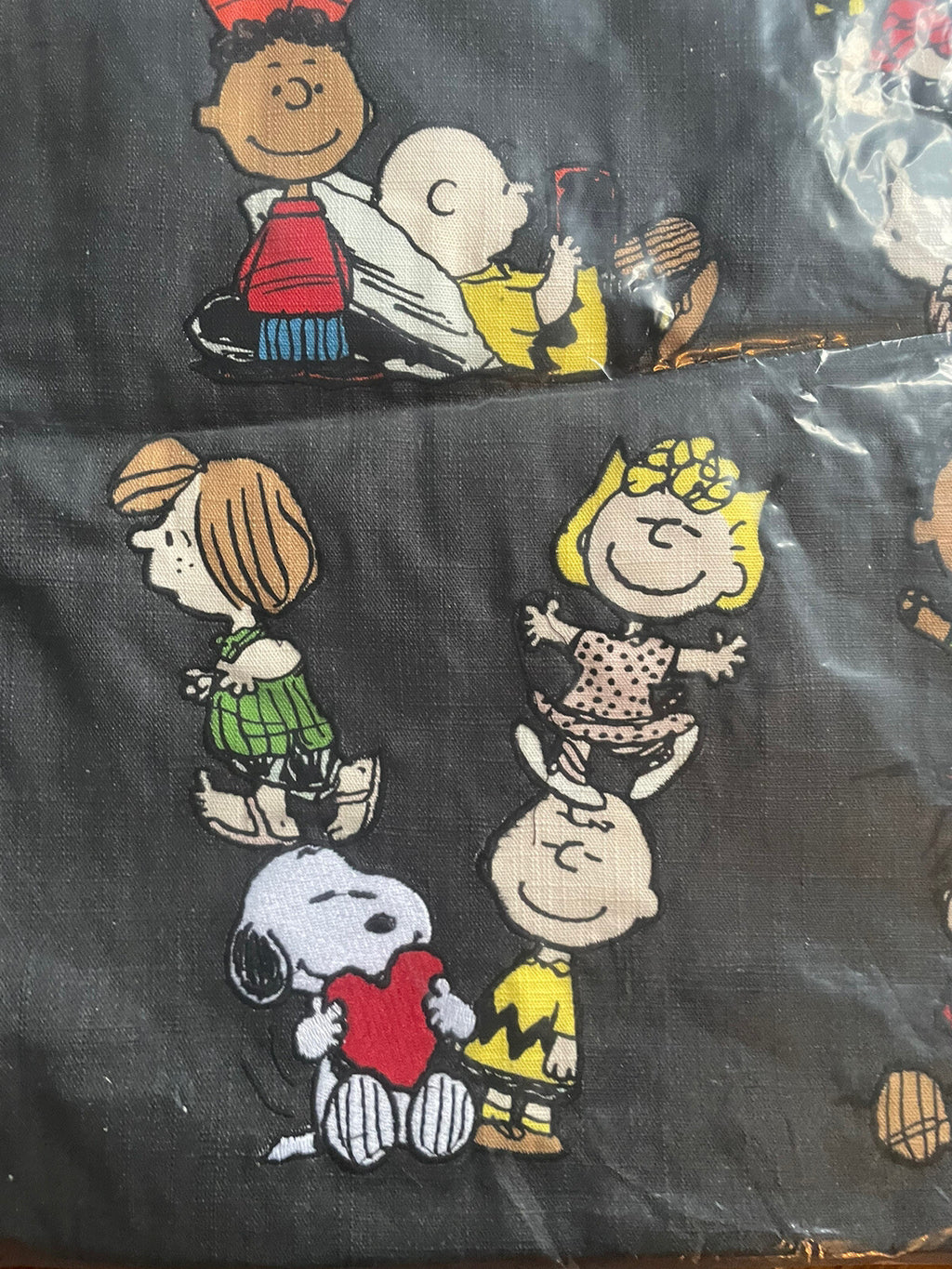 Snoopy Pottery Barn pillow Sham peanuts Disney Holiday School Gift Dorm ?? =