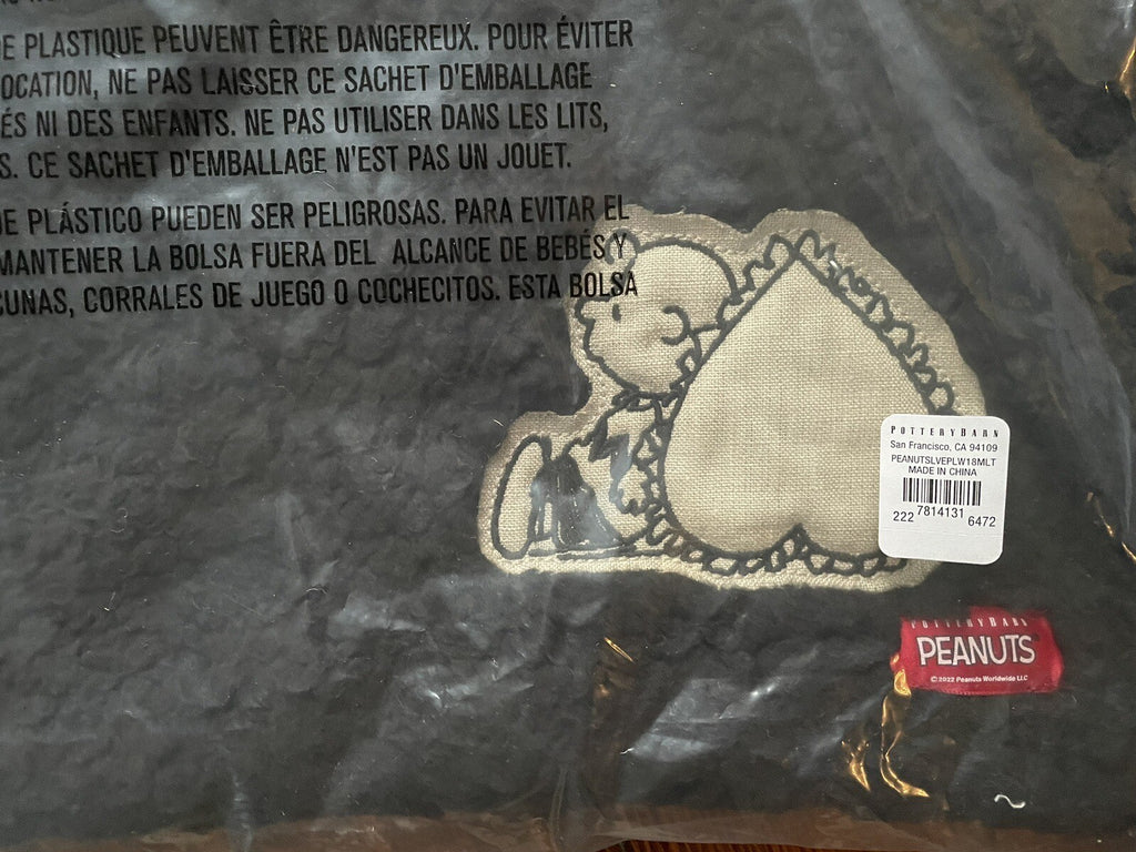 Snoopy Pottery Barn pillow Sham peanuts Disney Holiday School Gift Dorm ?? =