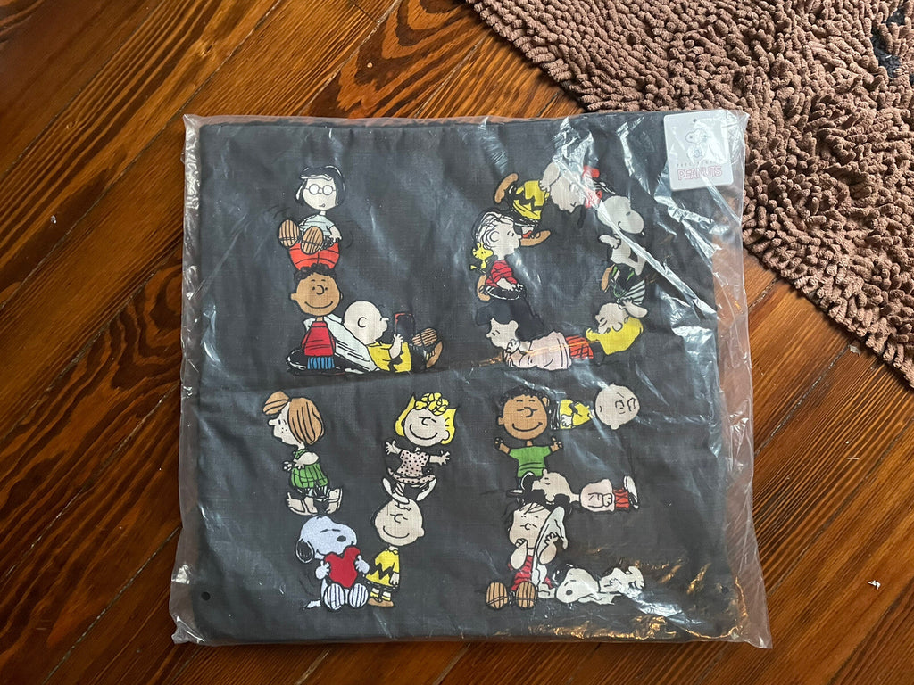Snoopy Pottery Barn pillow Sham peanuts Disney Holiday School Gift Dorm ?? =