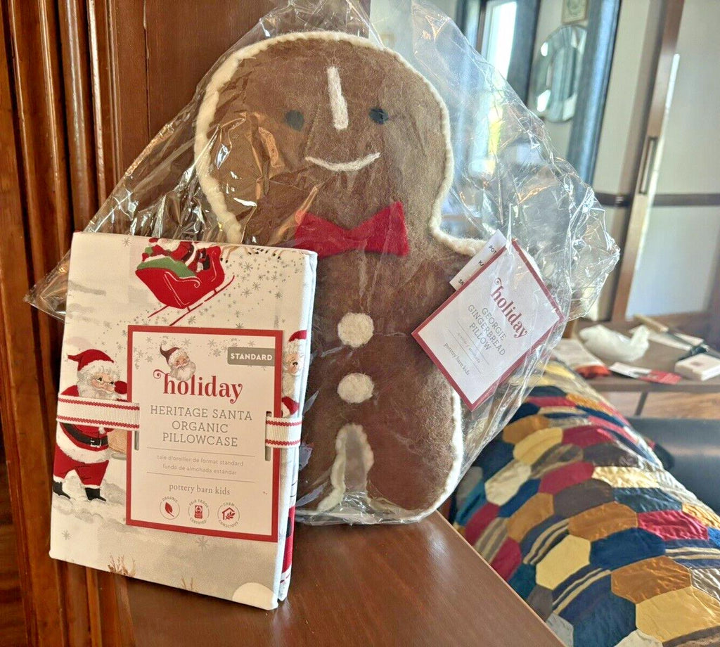 Pottery Barn Holiday Christmas Rudolph+Gingerbread Seuss Disney pillow kid SET '