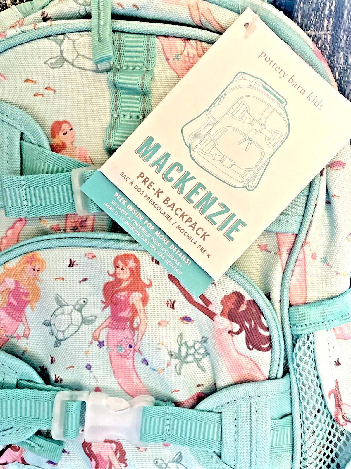 Disney School Pottery barn Mini Pre K BACKPACK bag girl princess Holiday Gift .