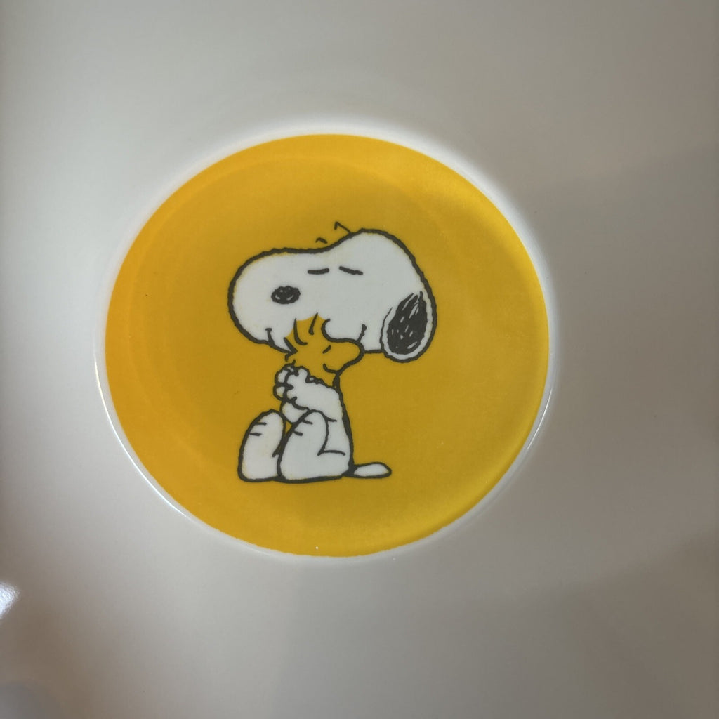 Disney Snoopy Pottery Barn peanuts Bowl holiday gift school kid party gift z