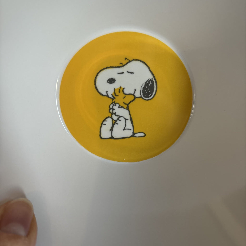 Disney Snoopy Pottery Barn peanuts Bowl holiday gift school kid party gift z