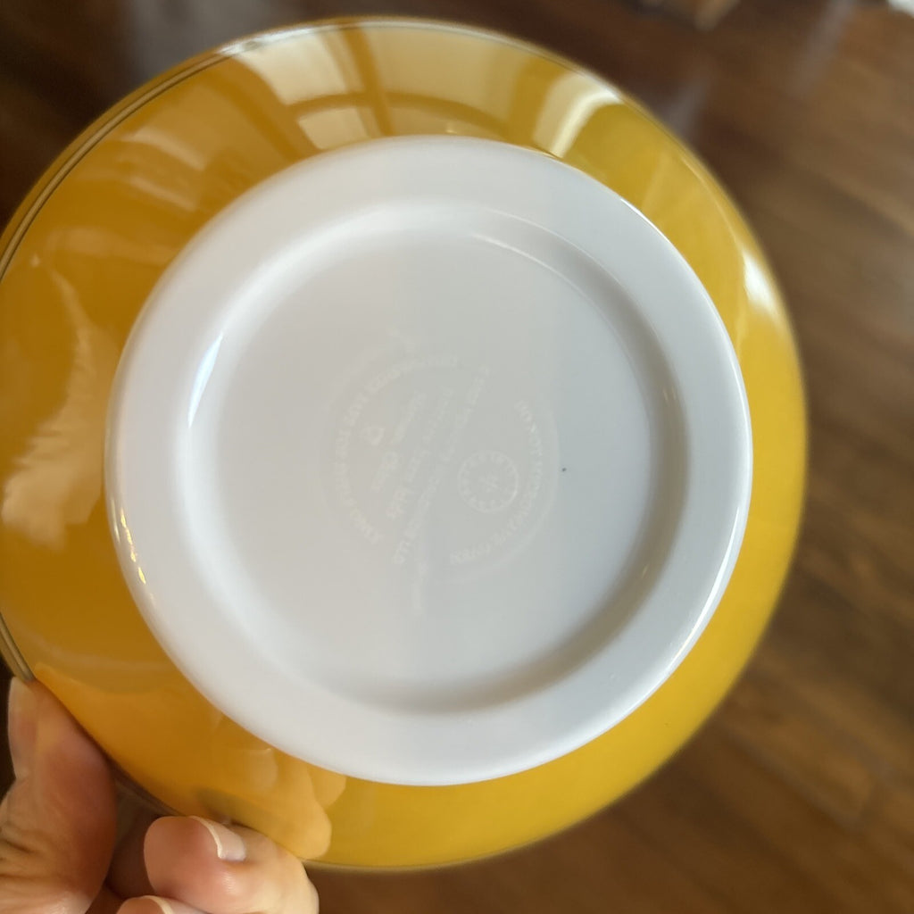 Disney Snoopy Pottery Barn peanuts Bowl holiday gift school kid party gift z
