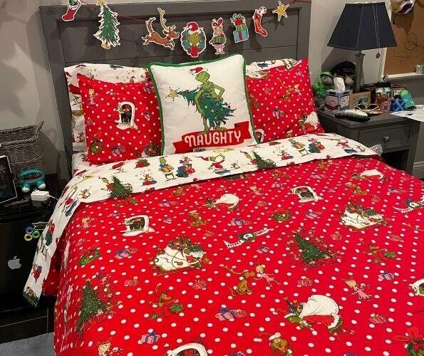 Pottery Barn GRINCH SHAM STAR Christmas Holiday Dr Seuss MAX kids school SET =
