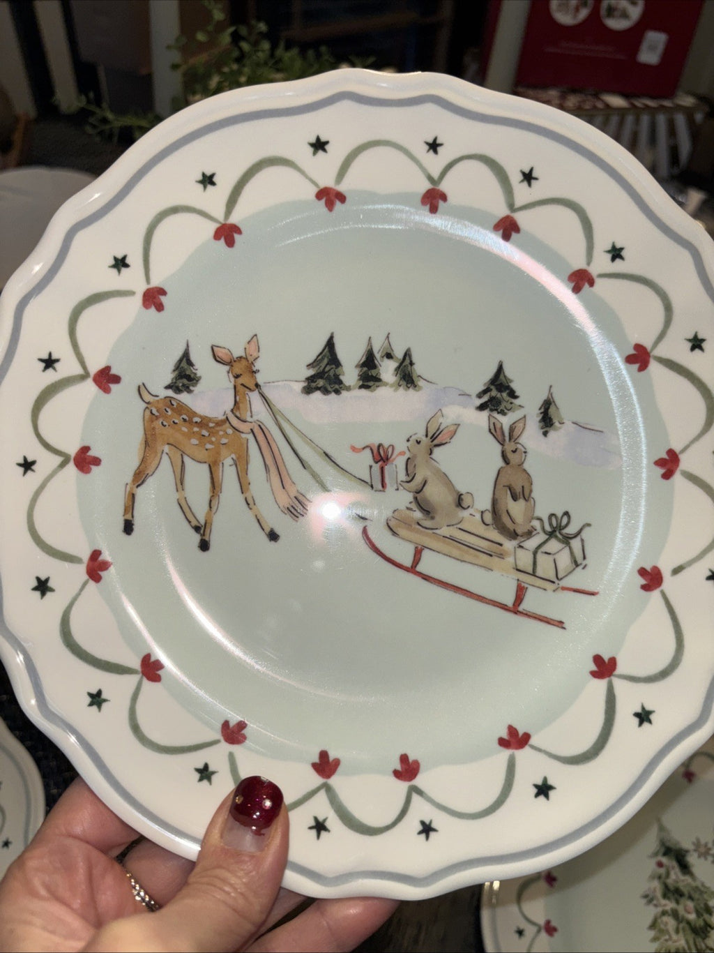 Pottery Barn holiday Christmas Riley party school Disney dinner Plate gift SET 4