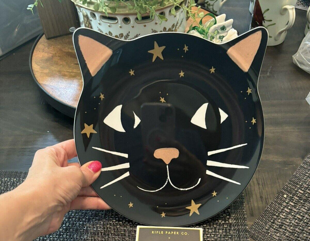 Pottery Barn Disney Plate Halloween Holiday party school black cat SET 4 gift